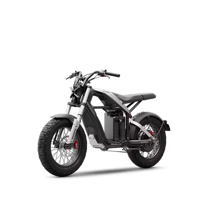 Segway ninebot Xyber Electric Bike (Single Battery Version) Segway ninebot Xyber Electric Bike (Single Battery Version) - Electric scooter product image